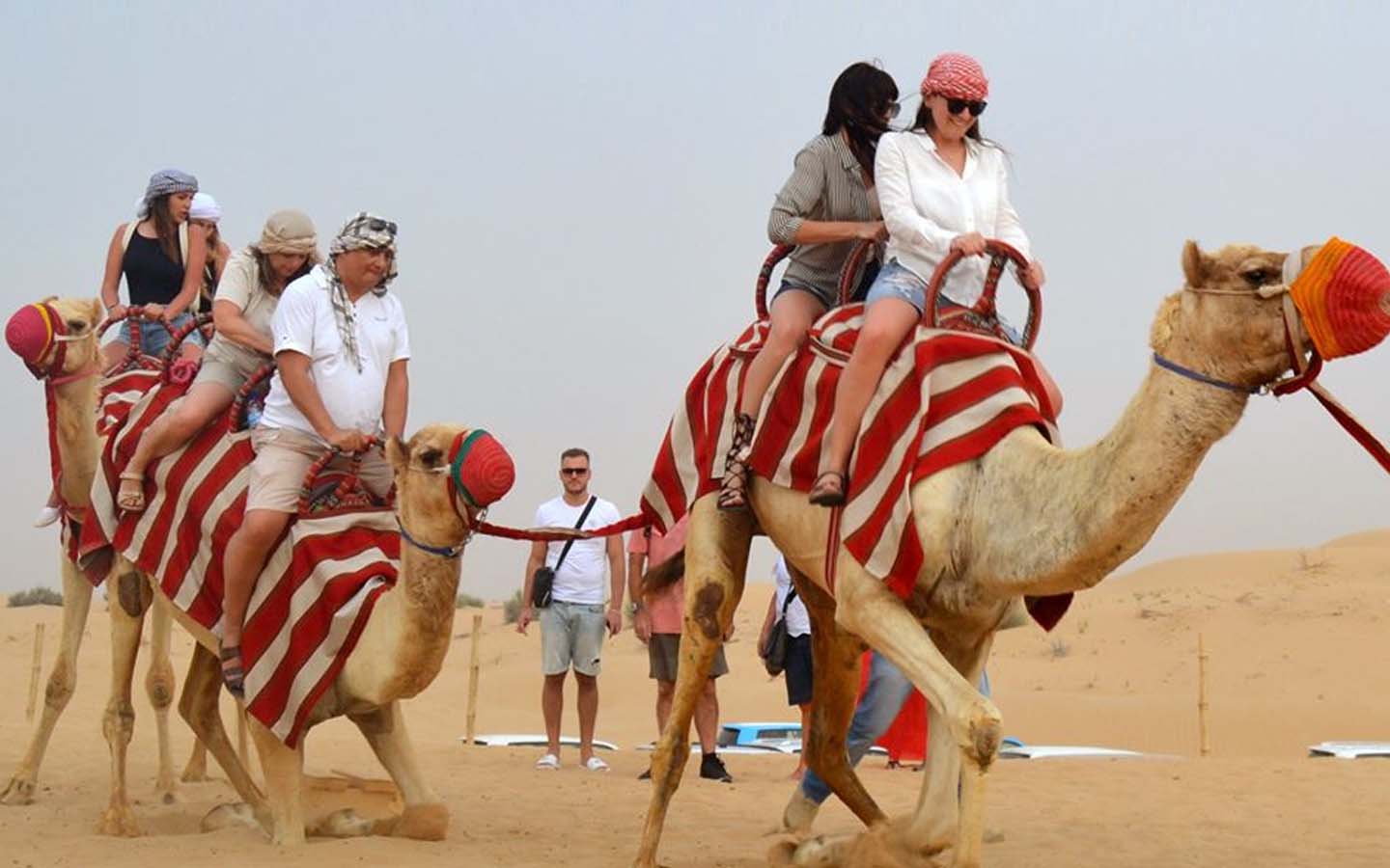 Mewad Haveli Desert Safari